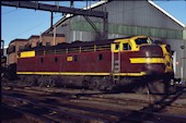 NSW 42 class 4201 (26.08.1978, Eveleigh)