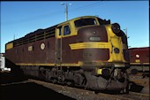 NSW 42 class 4203 (11.05.1980, Enfield)