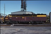 NSW 42 class 4205 (20.06.1982, Enfield)