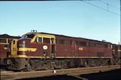 NSW 44 class  4401 (14.10.1978, Enfield)