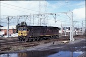 NSW 442 class 44210 (09.08.1986, Broadmeadow)