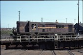 NSW 48 class  4833 (23.11.1977, Broadmeadow)