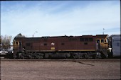 NSW 80 class 8021 (10.11.1986, Broken Hill)