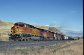 BNSF C44-9W 4655 (31.10.2005, Muir, MT)