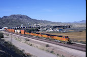 BNSF C44-9W 5164 (20.03.2010, Topock, AZ)