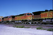 BNSF C44-9W 5421 (02.10.2005, Cajon, CA)