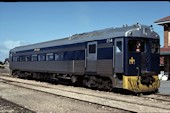AN Bluebird 254 (10.08.1979, Moonta)