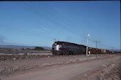 AN CL   7 (10.04.1982, Stirling North, mit GM 36)