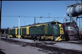 AN GM   1 (25.07.1982, Port Pirie, mit GM 10)