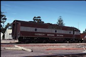 AN GM   7 (09.04.1982, Port Augusta)