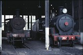 NSW 2-8-0 D53 5367 (23.12.1981, Cowar)
