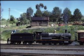 NSW 2-8-0 D53 5367 (02.11.1986, Cowar)