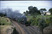 NSW 2-8-2 D59 5910 (10.1988, Picton, mit 3801)