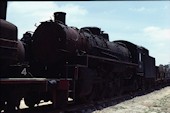 NSW 2-8-2 D59 5916 (18.11.1979, Thirlmere)