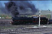 NSW 2-8-2 D59 5917 (20.10.1979, Demondrille)