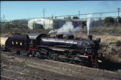 NSW 2-8-2 D59 5917 (11.05.1980, Lidcombe)