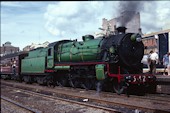 NSW 4-6-0 C36 3642 (27.03.1982, Newcastle)