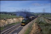 NSW 4-6-2 C38 3801 (01.10.1988, Harden, mit 5910)