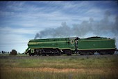 NSW 4-6-2 C38 3801 (01.10.1988, Uranquinty, mit 115km/h)