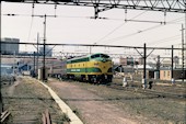 NSW 42 class 4201 (26.10.1980, Sydney)