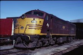 NSW 421 class 42104 (20.04.1981, Albury)