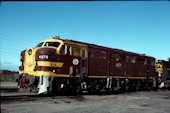 NSW 44 class  4479 (03.08.1980, Enfield)