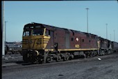 NSW 442 class 44225 (29.08.1982, Newcastle, (mit 4509))