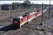 NSW 81 class 8177 (26.05.1986, Clyde, (mit 8116))
