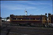 NSW CPH   16 (29.10.1977, Cootamundra)