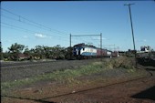NSW Motor Car   (13.10.1980, Chullora)