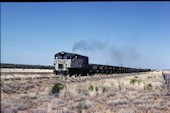 QR 1600 class 1609 (15.11.1980, Deroora)