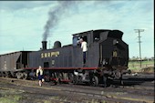 SMR 2-8-2T  10 (13.10.1978, East Greta Junction)