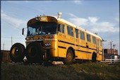 SRS Rail Bus 801 (13.09.1981, Wollongong)