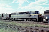 VR C 503 (26.01.1980, Dynon)