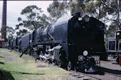 VR H class 220 (30.10.1988, Williamstown)