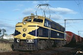VR L 1171 (29.12.1981, Warragul)