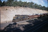 VR T 403 (19.03.1976, Heathcote)