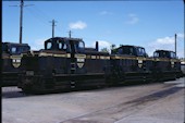 VR W 244 (28.12.1981, Geelong)