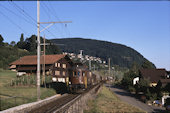 BLS Ae6/8 205 (20.06.1989, Faulensee)