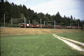 BLS Re4/4 169 (19.08.1988, b. Leissigen, mit Re4/4 182)