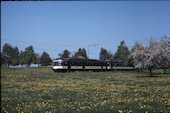 MThB ABDe4/4  15 (29.04.1990, Bronschhofen)