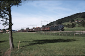 SBB Ae6/6 11450 (09.10.1987, b. Eschlikon)