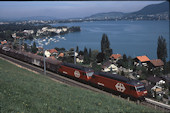 SBB Re 460 085 (08.08.1997, Kumm, mit Re 460 059)