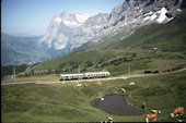WAB BDeh4/4 101 (08.08.1992, Kleine Scheidegg)