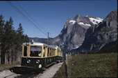 WAB Bt   (18.09.1991, Wetterhorn, mit BDeh4/4 101)