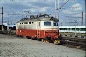 CD 242 280 (19.08.2005, Cheb)