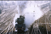 DB  50  622 (15.05.1989, München Hbf.)