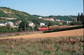 DB 181 224 (31.08.2005, bei Wincheringen)