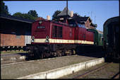 DB 202 651 (02.09.1991, Puttbus, (als DR 112))
