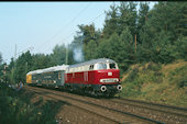 DB 216 003 (21.09.1985, Parade in Nürnberg,  (als V160 003))